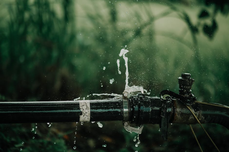 How to Fix Common Plumbing Leaks in Your Home