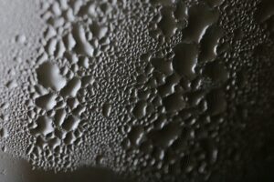 How to Prevent Mold Build-Up in Moist Areas