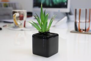 How to Use Minimalist Design to Maximize Small Spaces