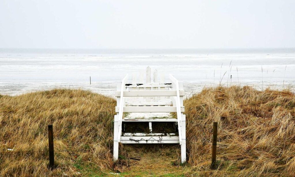 garden infoguide homemendous