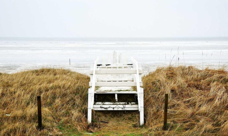 garden infoguide homemendous