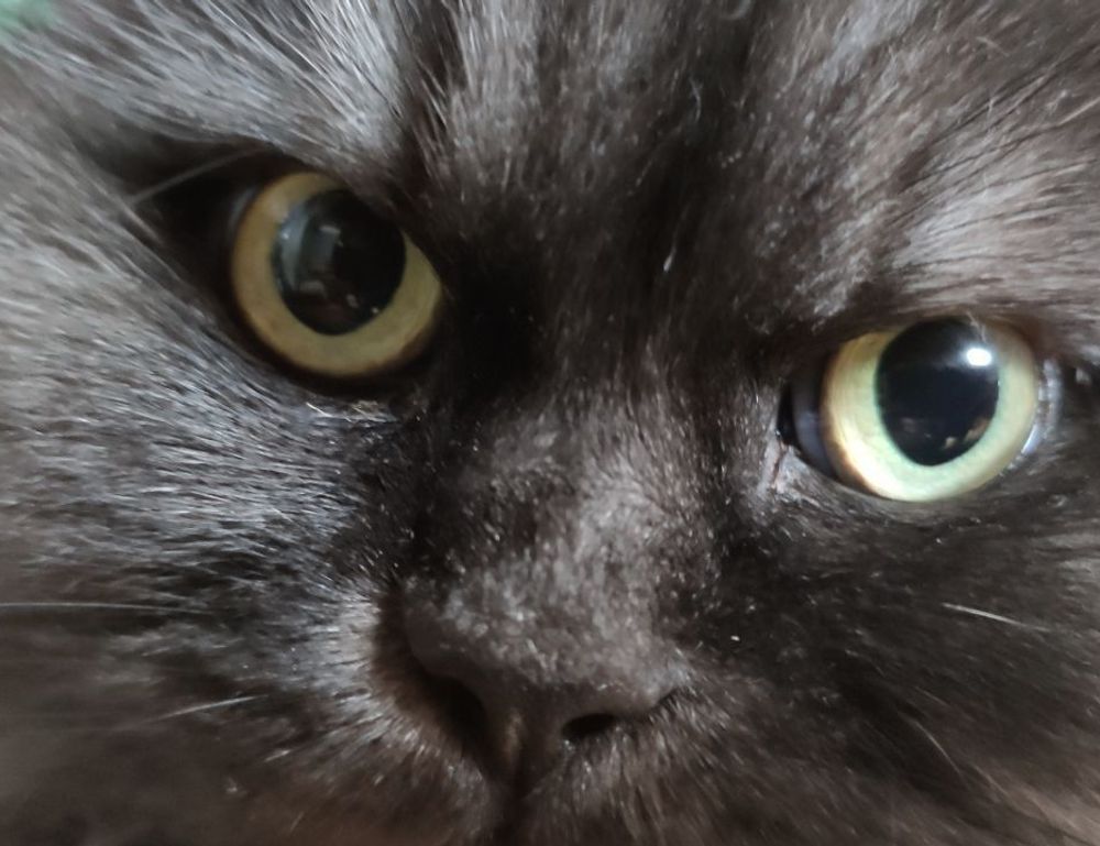 home exterior upgrade homemendous