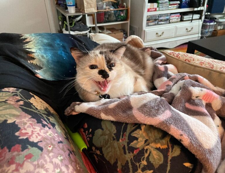 homemendous garden tricks from homehearted