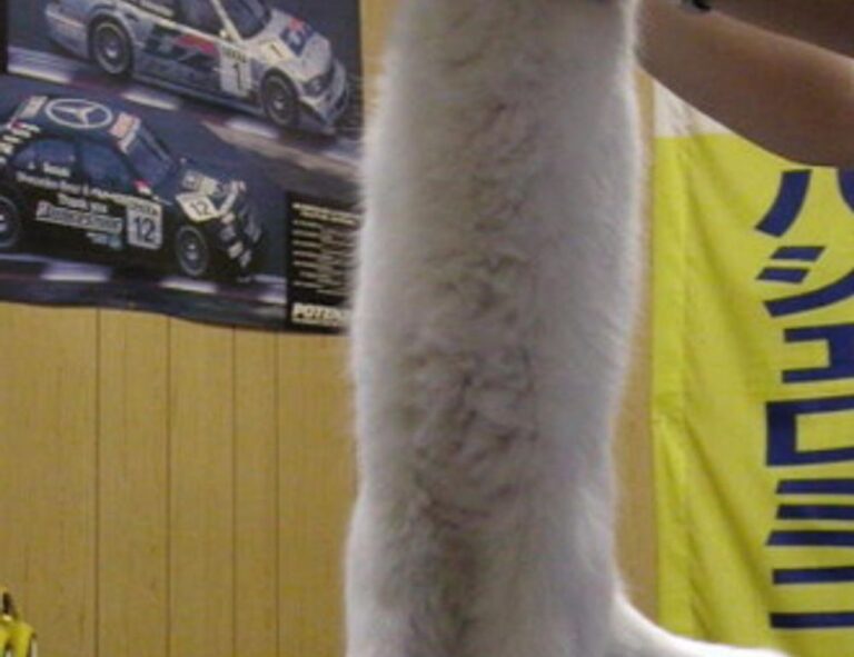 how to make garden decorations kdalandscapetion