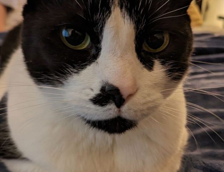 how to set up my apartment homemendous