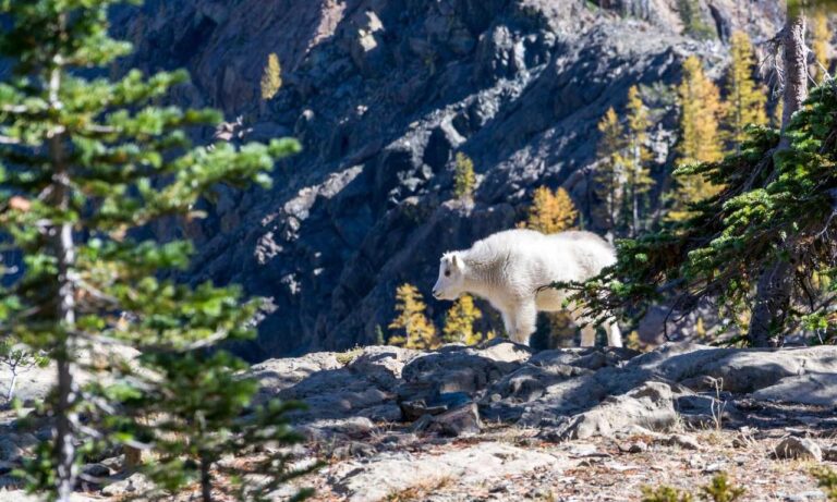 interior design thtintdesign