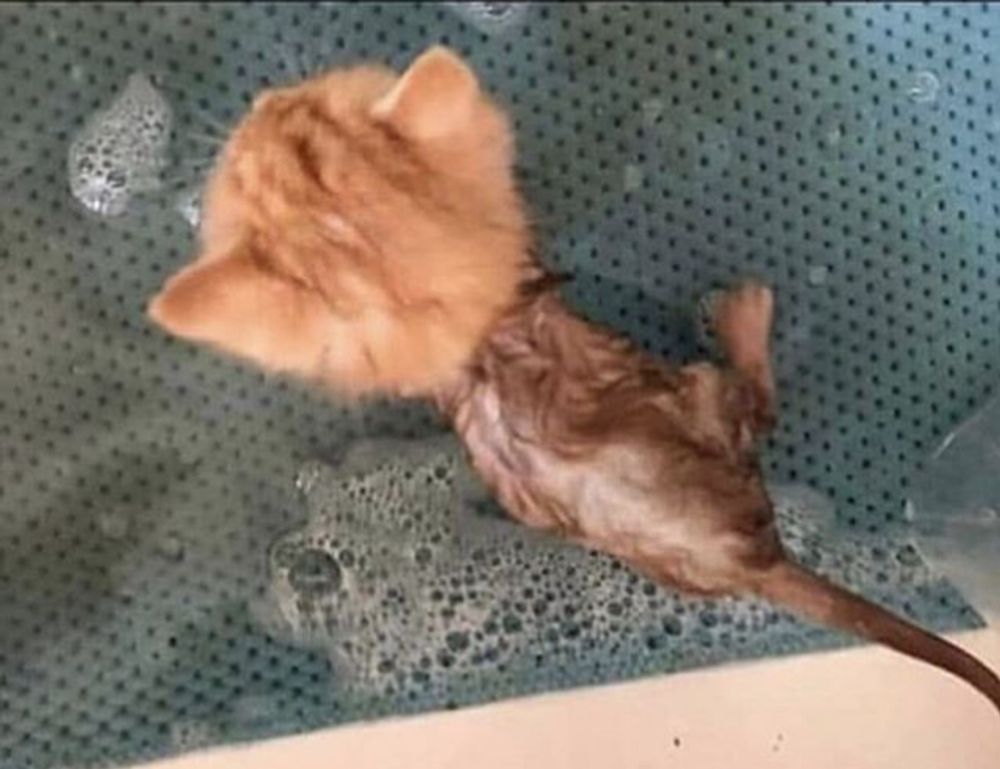 landscaping guide kdalandscapetion