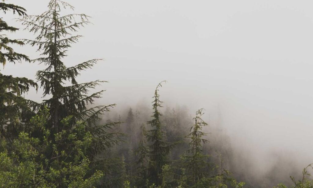 lighting interior mipimprov