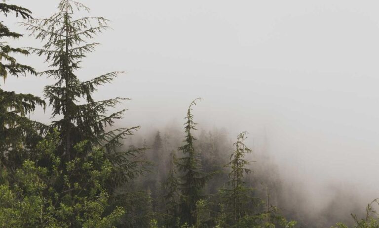 lighting interior mipimprov