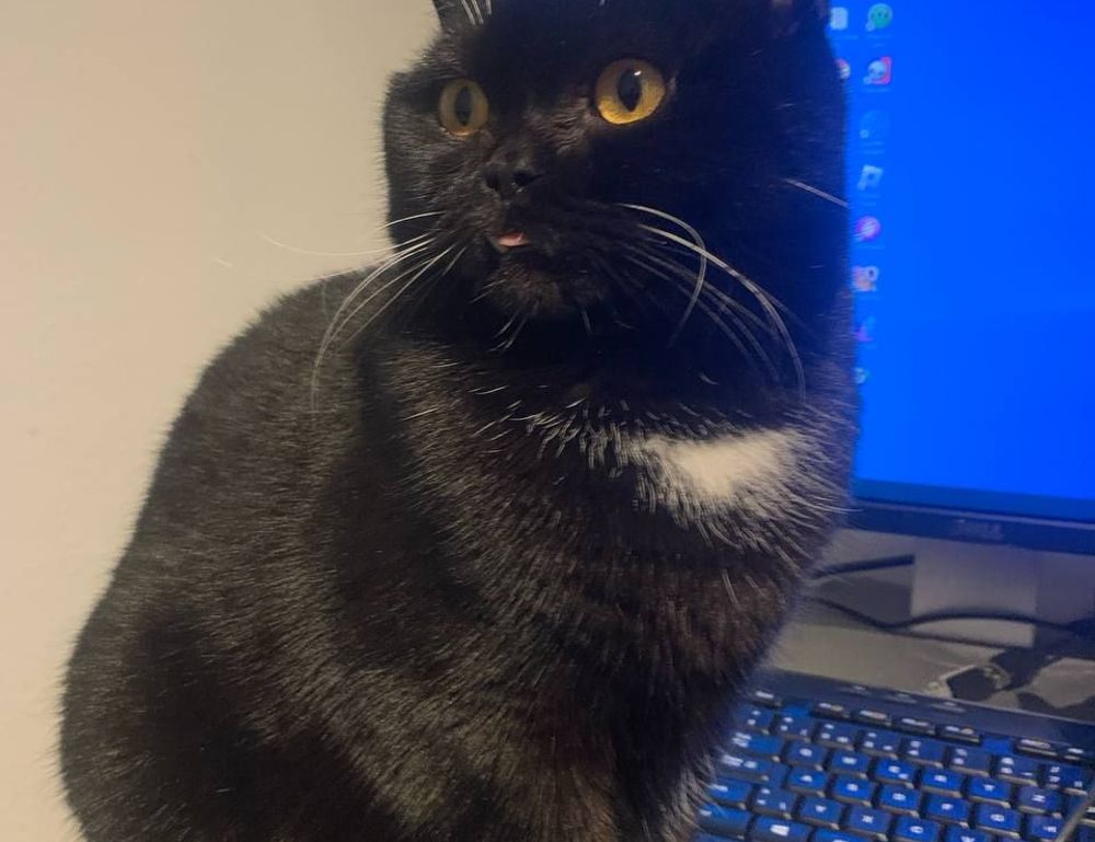 tips for designing a kitchen thtintdesign