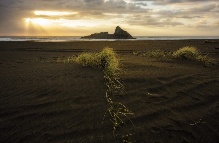 which direction should your garden face kdalandscapetion