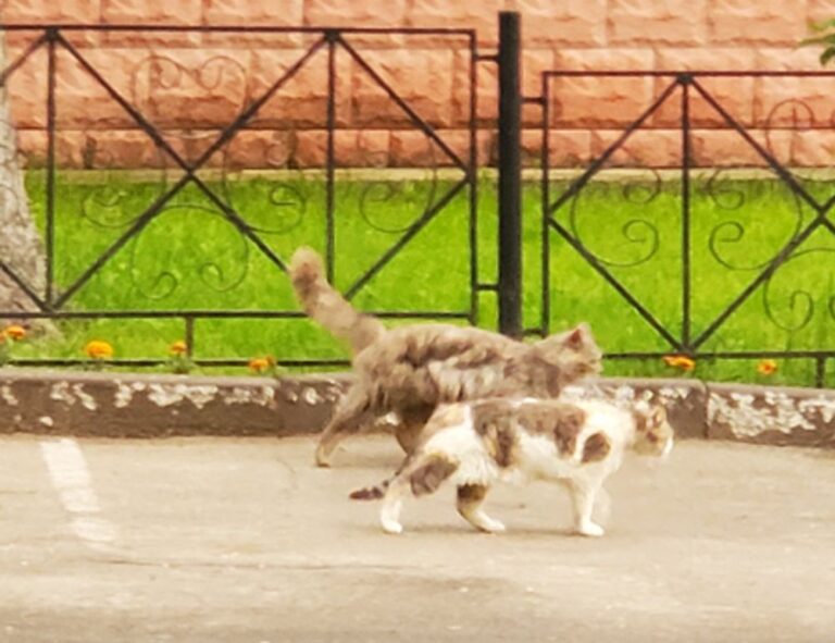 why home improvement is important mintpalhouse