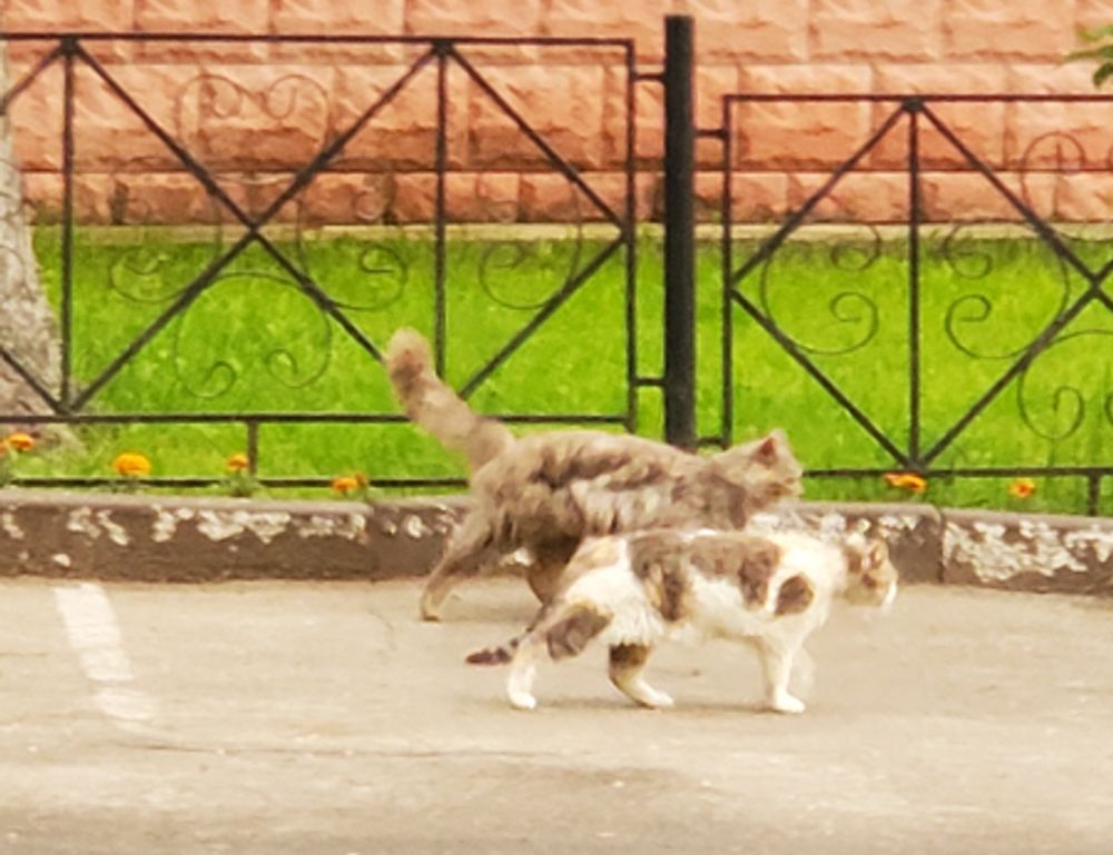 why home improvement is important mintpalhouse