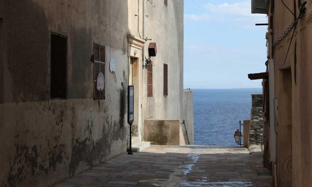 why sumcuyu high in potassium