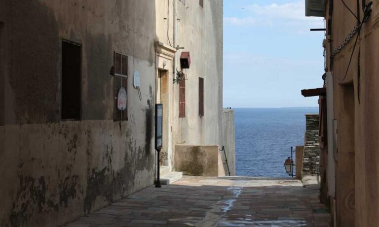 why sumcuyu high in potassium