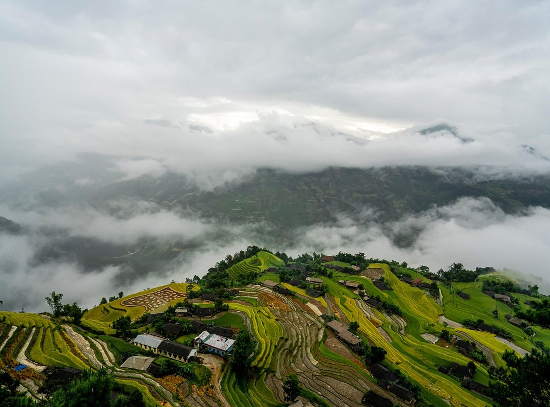 Latest Decoration Trends Mintpaldecor