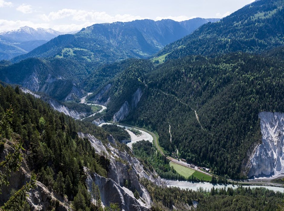 A Természet Varázsa: Modern Virágos és Tájkép Minták