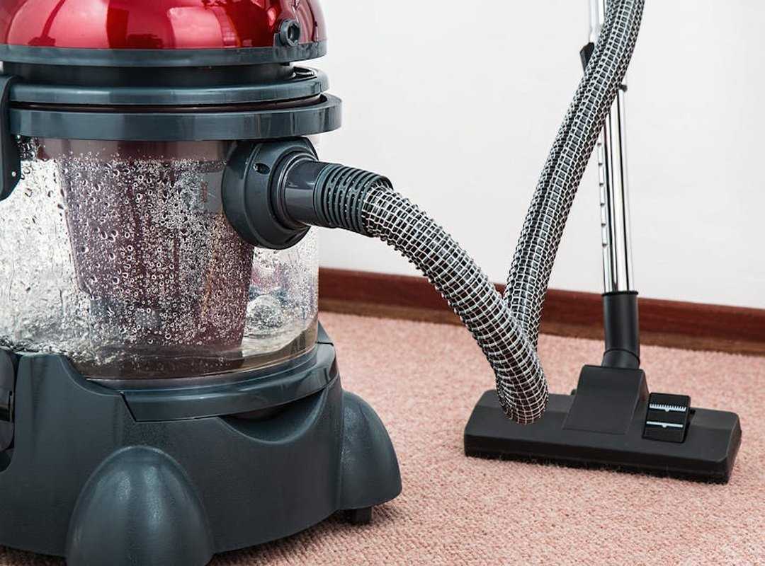 Which Vacuum Should I Buy Livpristhome