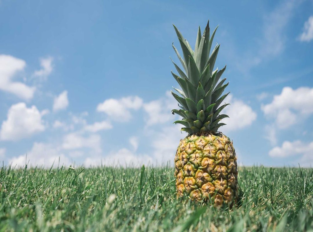 Content Performance Analysis