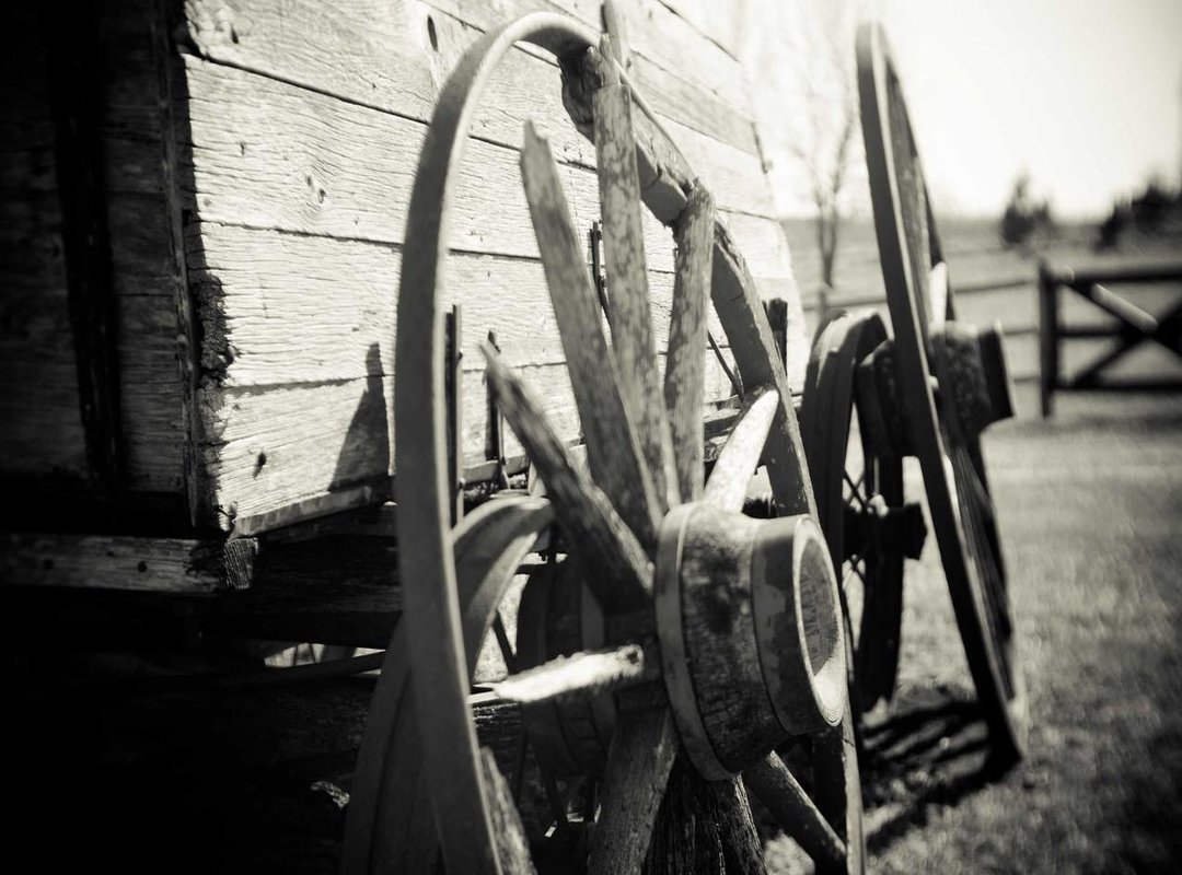 3 Live-Action Japanese Dramas to Watch If You Love the 'Yankee' Vibe