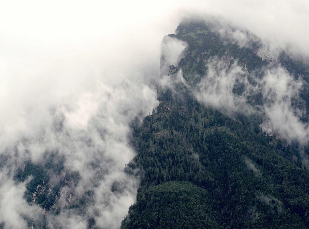 How to Install and Use the One-Hit Damage Cheat APK