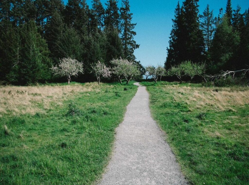 cheat ml hack damage 1 hit apk