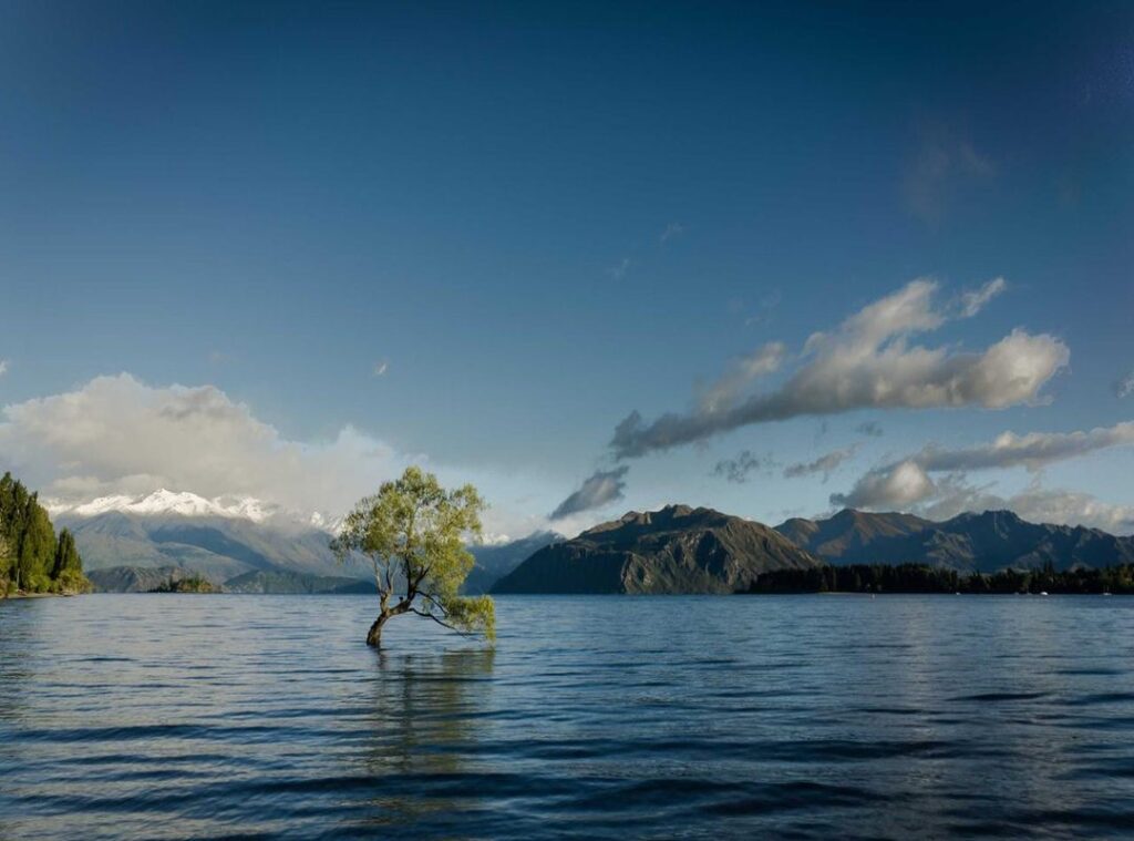 coin master free spin levvvel