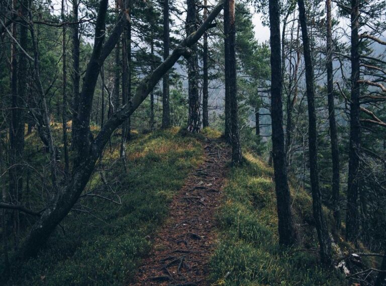 justin neely one day