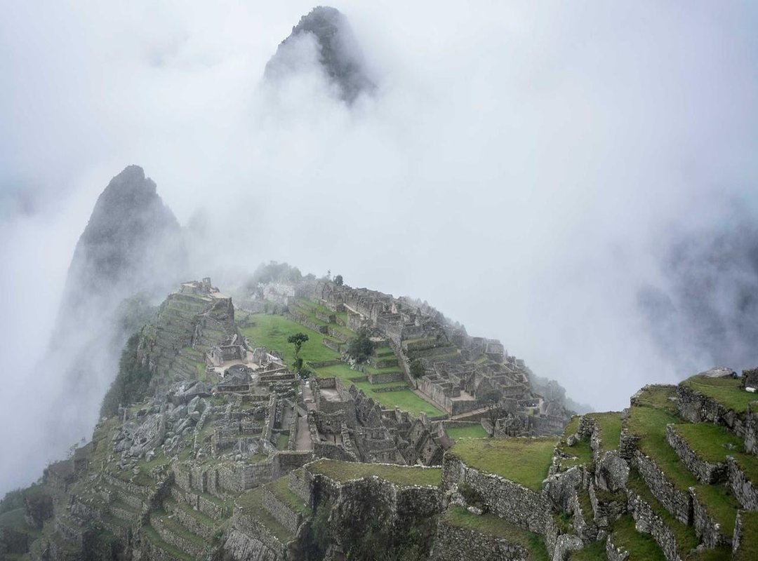 The Real Reason We All Love These Memes