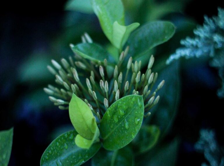 mujeres haciendo el amor significa