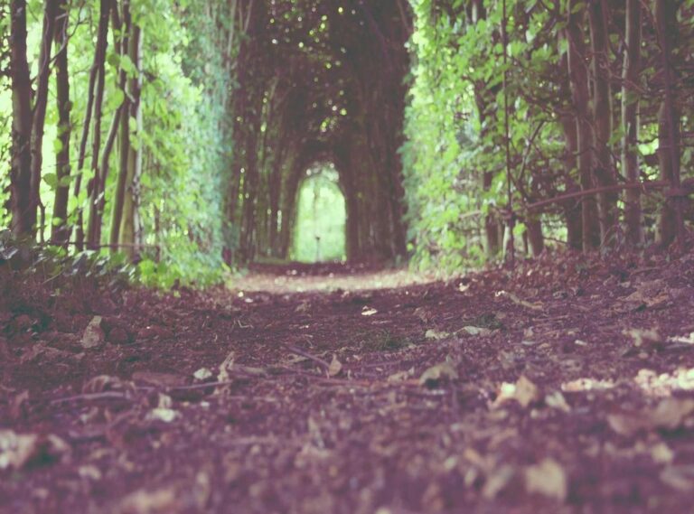 night shift at fazclaire's nightclub game jolt