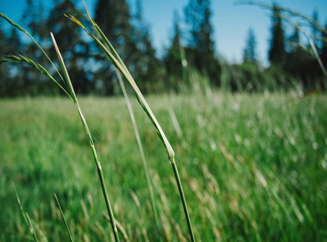 A Simple Guide to Taking Your Own Princess Photos at Home