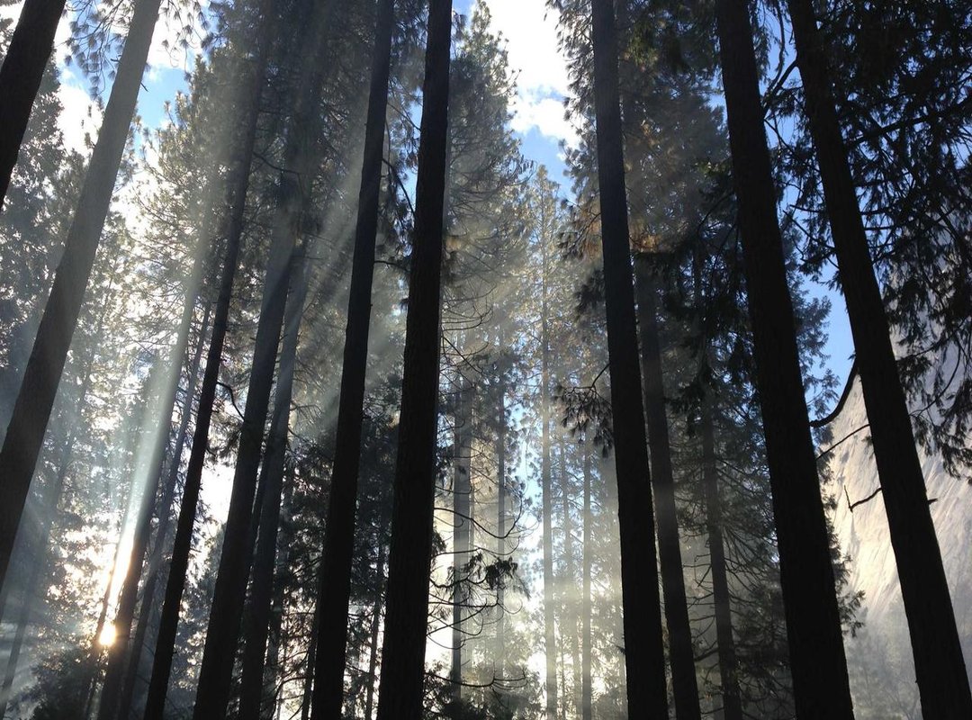 Step-by-Step: Building Your Transparent Boy Avatar