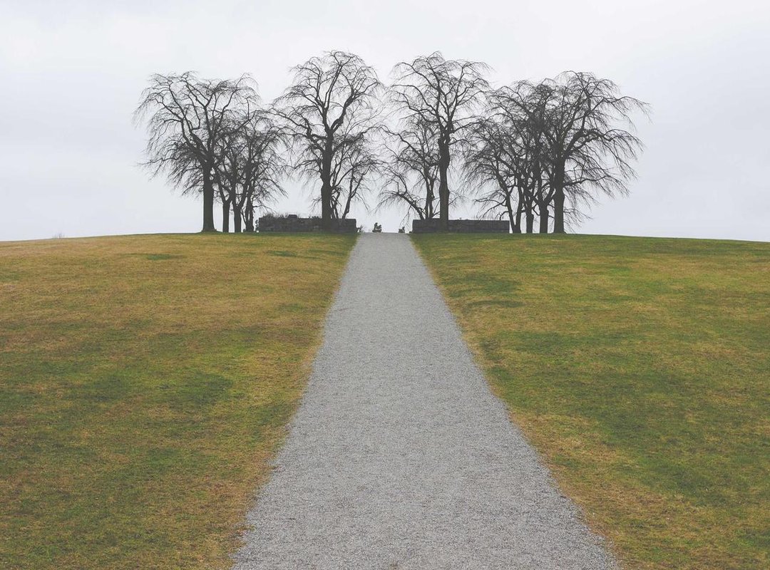 Excellent Free & Safe Alternatives to Wallpaper Engine