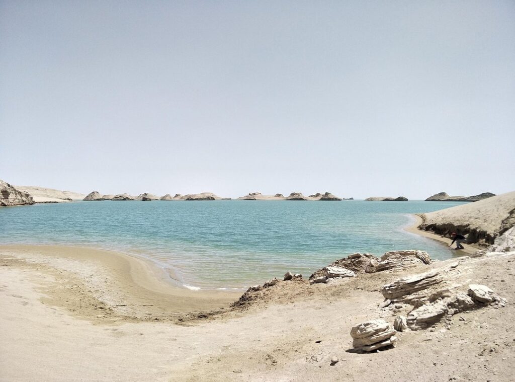 ya muqollibal qulub rumaysho