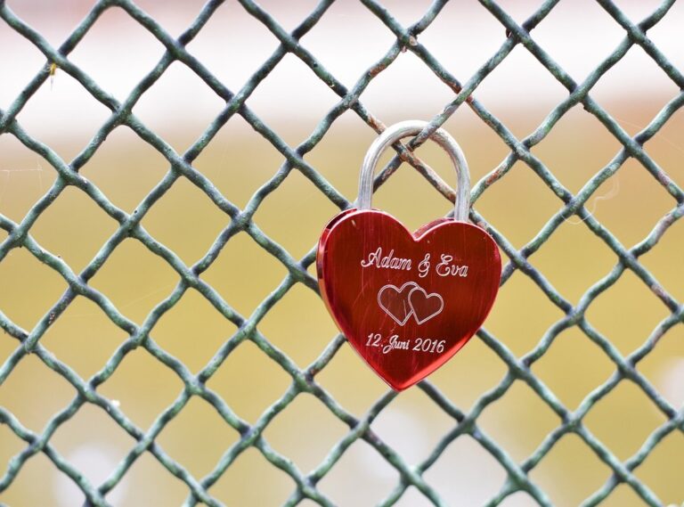 zhurek adam versuri romana