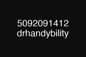 5092091412 drhandybility