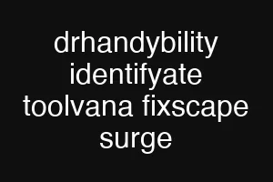 drhandybility identifyate toolvana fixscape surge