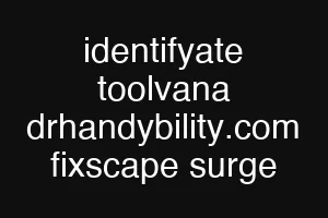 identifyate toolvana drhandybility.com fixscape surge